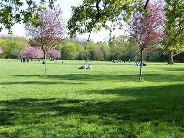 Location Parc Extérieur