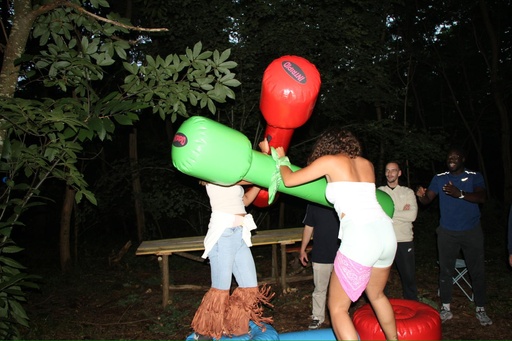 Combat de joutes