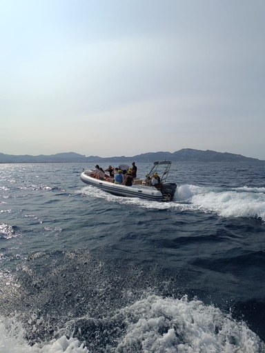 Bateau à moteur