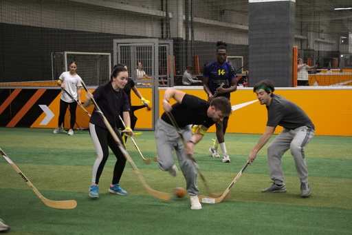 Hockey sur gazon